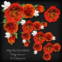Rose Corner Cluster 8