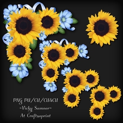 Sunflower Corner Cluster 2