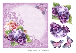 Hydrangea and Butterfly Shine