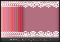 Pink Hues Double Lace Border Background