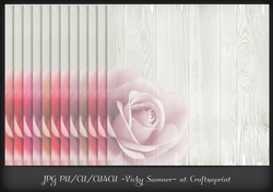 Pink Hues Rose On Wood Background