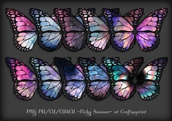 Cosmic Butterlfy PNG 2