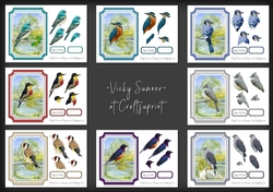 Birds Bumper Kit