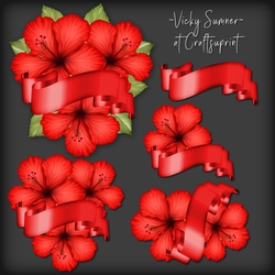 Hibiscus and Banner Cluster 