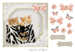 Cute Cats 7