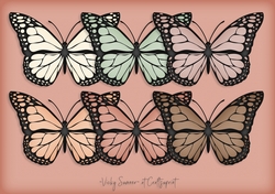 Desert Butterfly
