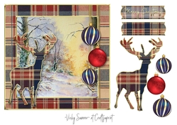 Tartan Christmas 2