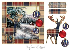 Tartan Christmas 4