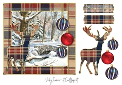 Tartan Christmas 5