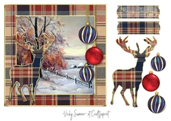 Tartan Christmas 6