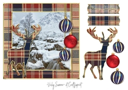 Tartan Christmas 7