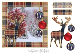 Tartan Christmas 9