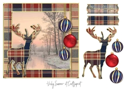 Tartan Christmas 10