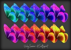 Tropical Butterflies
