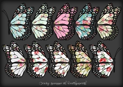 Shabby Docked Butterfly