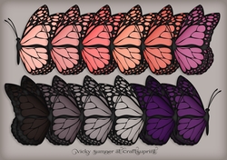 Sunset Docked Butterfly