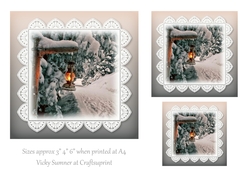 Winter and Lace 4