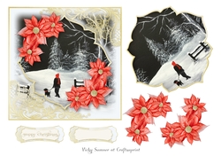 Winter Walk 1