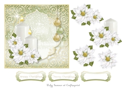Winter White 2