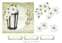 Winter White 6