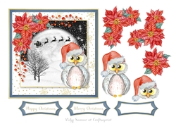 Twit Twoo Christmas 1