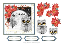 Twit Twoo Christmas 3