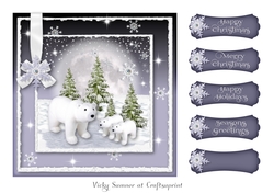 North Pole 1 7x7 Quick Card