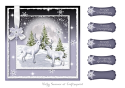 North Pole 2 7x7 Quick Card