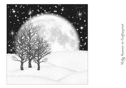 Winter Wonderland 7