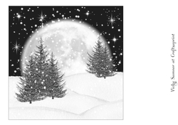 Winter Wonderland 8