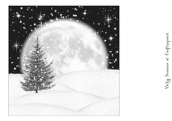Winter Wonderland 10