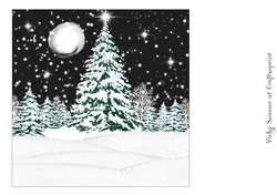 Winter Wonderland 13