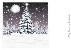 Winter Wonderland 14