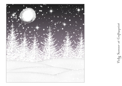 Winter Wonderland 16