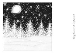 Winter Wonderland 17