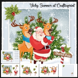 Selfie Santa