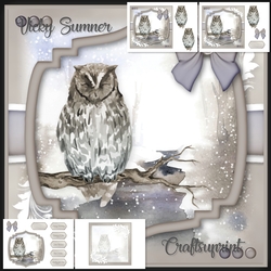 Sleepy Owl
