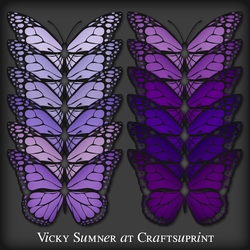 Purple Hues Black Butterfly