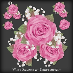 Sugar Plum Pink Rose Cluster PNG