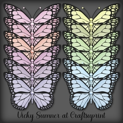 Abstract Colour Match Pearl Butterfly