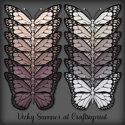 Dusky Pearl Butterfly