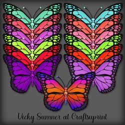 Summer Pearl Butterfly