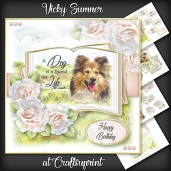 A Dog is a Friend for Life...Shetland Sheepdog