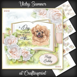 A Dog is a Friend for Life...Tibetan Spaniel