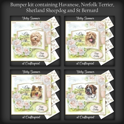 A Dog is a Friend for Life Bumper Kit 10