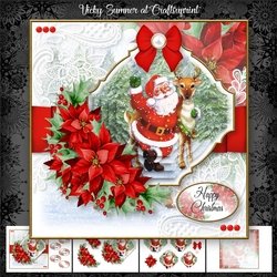 Christmas in July Santa 2