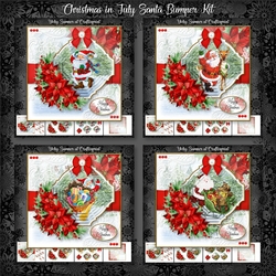 Christmas in July Santa Bumper Kit