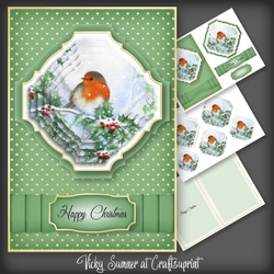 Christmas in July Robin Pyramage 3