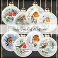 Robin Bauble