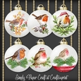 Robin Bauble 2